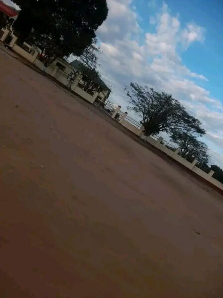 Casa tipo 2 (avenda)