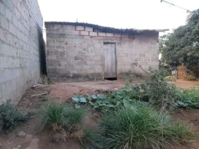 Casa tipo 2 (avenda)