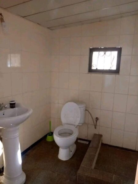 🏠ARRENDA SE TIPO 1 em direção a LIBERDADE- paragem cavalo branco 3min da paragem