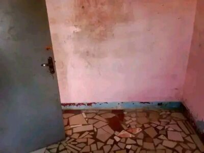 Casa tipo 1