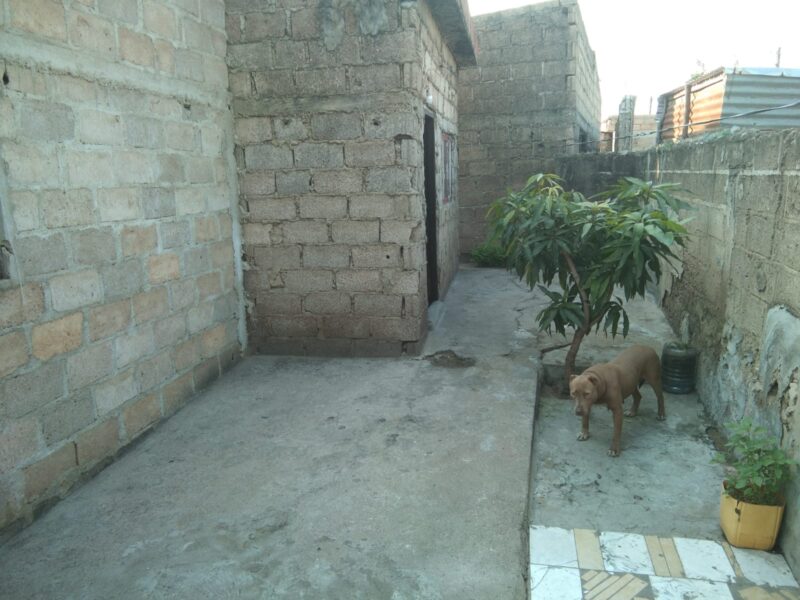 Casa Tipo 3