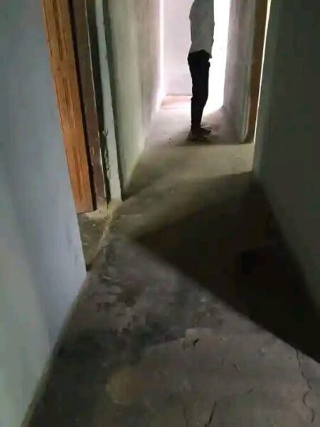 casa de aluguer tipo2