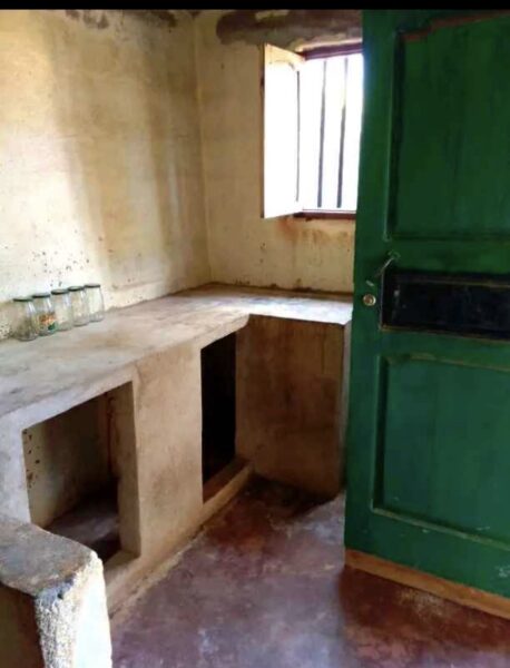T2