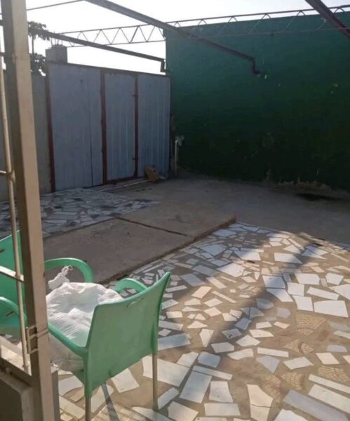 T2