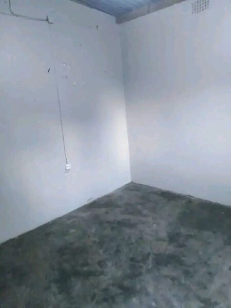 Arenda Casa Tipo2