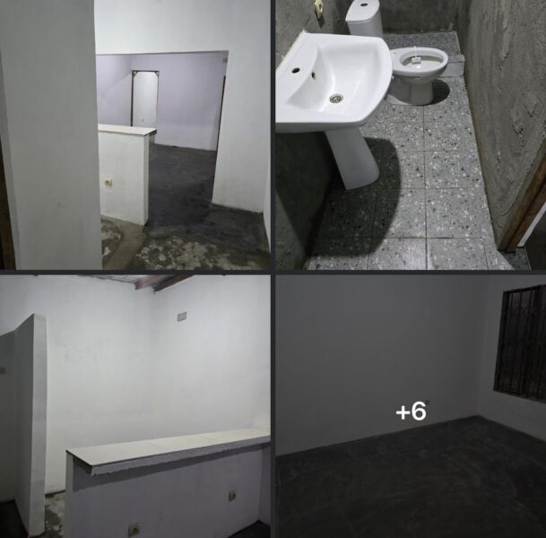 Tipo 1