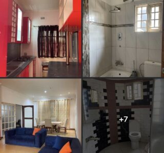 Moradia com Cobertura de Placa e Telhado para Alugar em São Dâmaso!