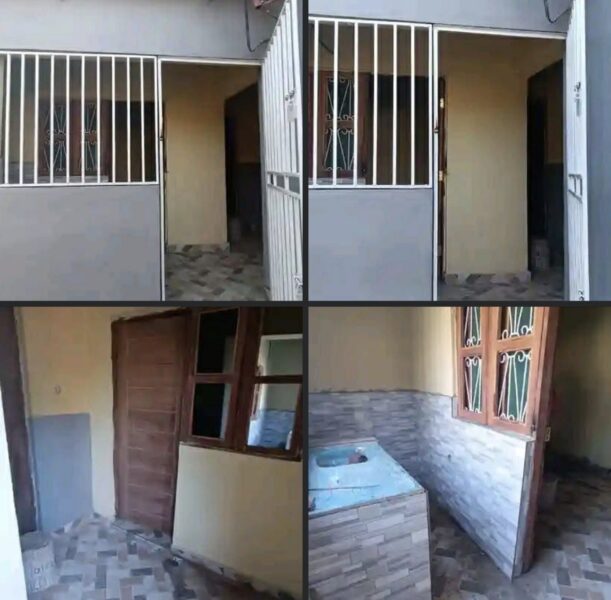 Casa tipo 1
