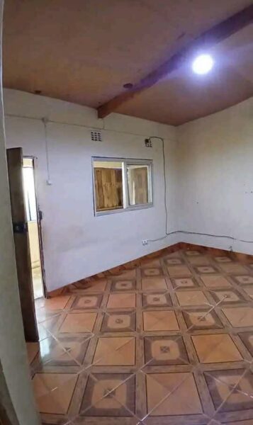 Casa tipo 2